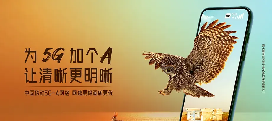 洪泽区洪泽区老子山镇 移动宽带